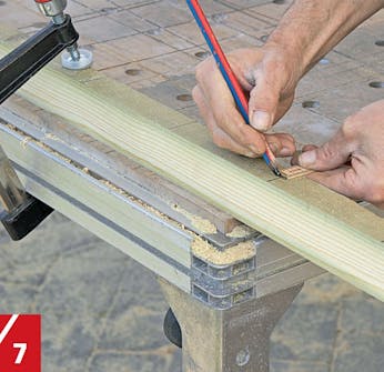 Frittstående espalier Frittstående espalier